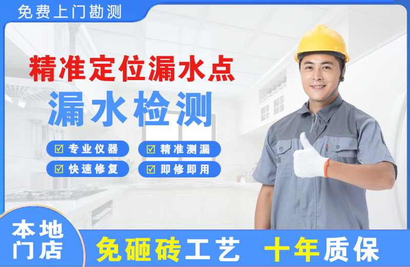 岳阳楼精准测漏点