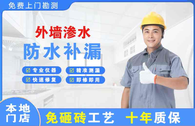 岳阳楼外墙渗水维修