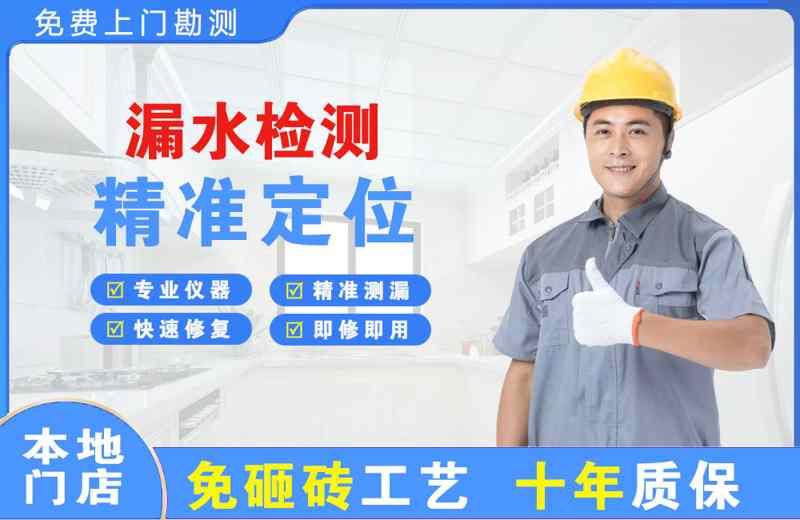 岳阳楼漏水检测精准定位